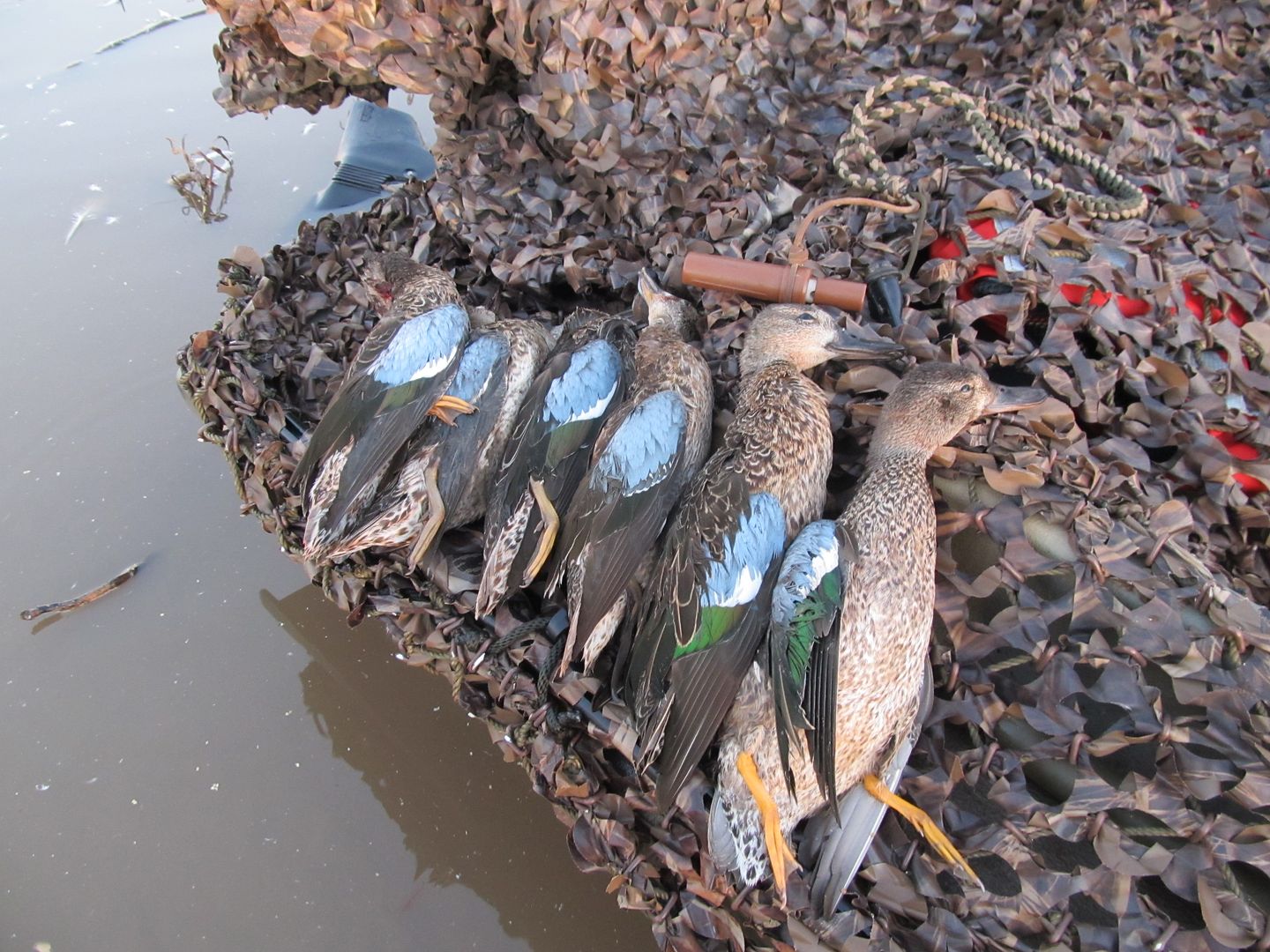 09/ 24, 27, 28, 29/13 What a Teal Season Oklahoma Duck Hunting